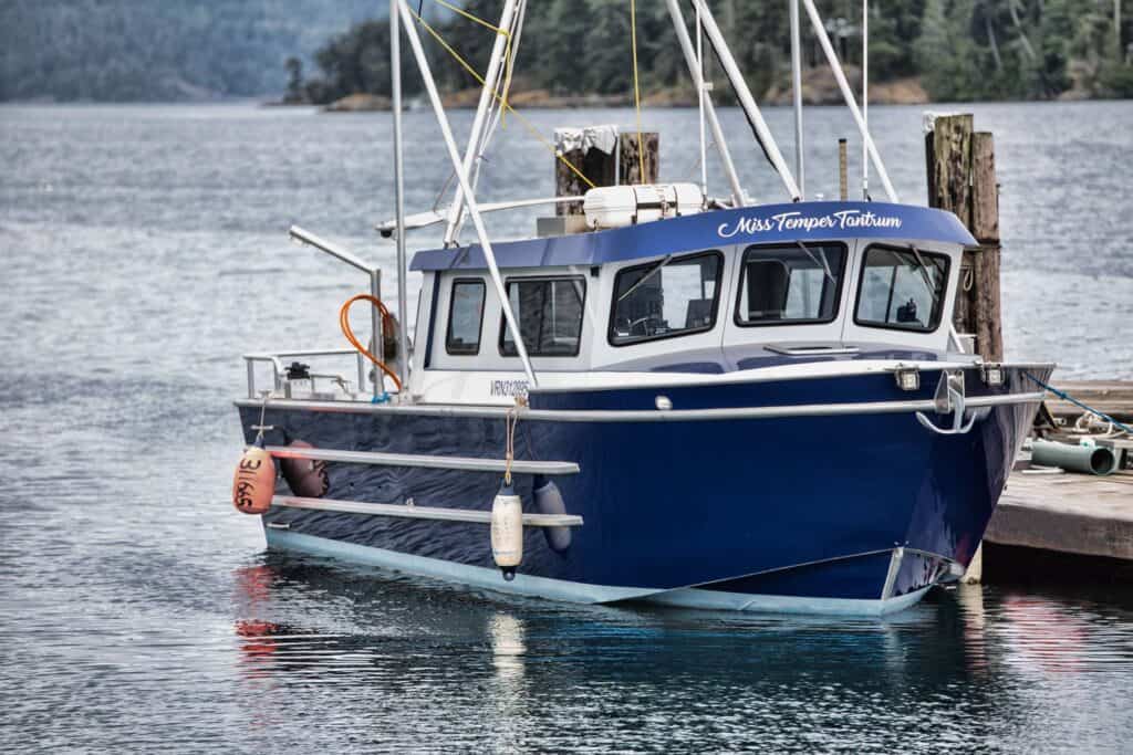 Boat with "Miss Temper Tourism" signage docked on water.