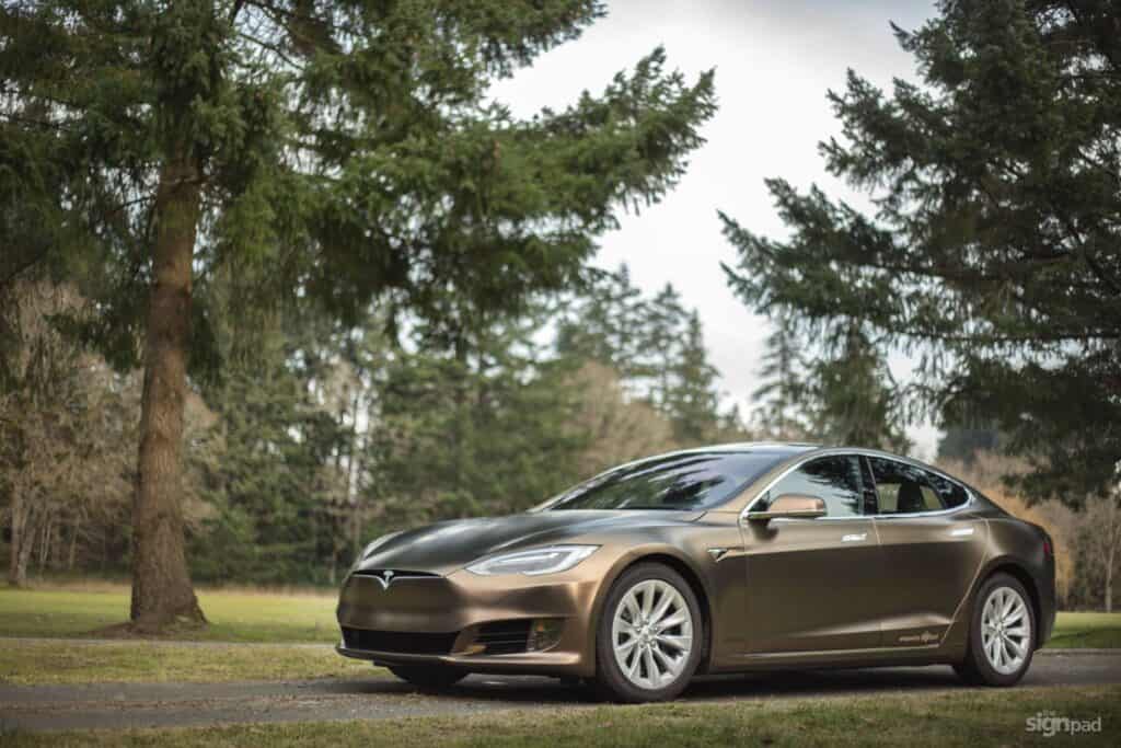 Tesla Model S electric car on a scenic outdoor road.