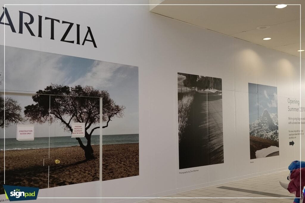 Aritzia beach scene with a tree and ocean view.