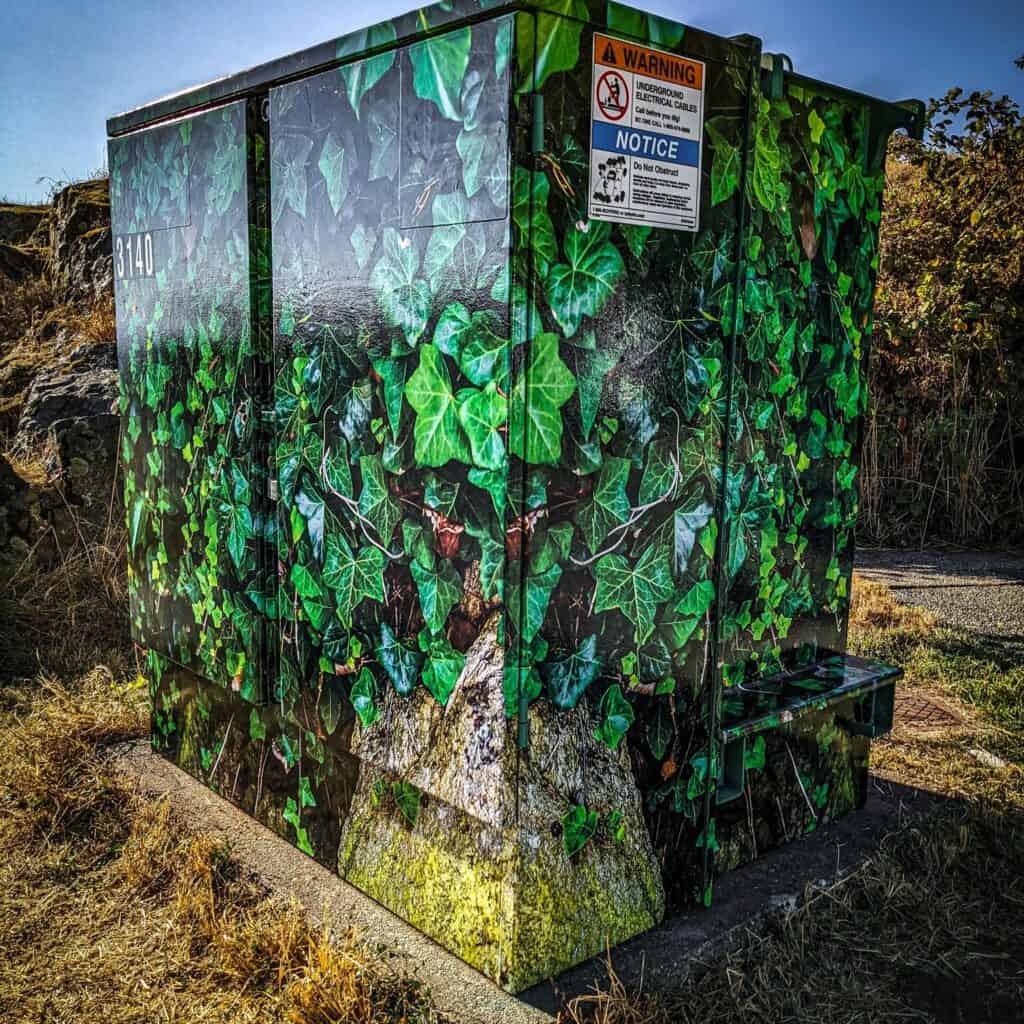 Utility box with vibrant ivy leaf design for aesthetic enhancement.