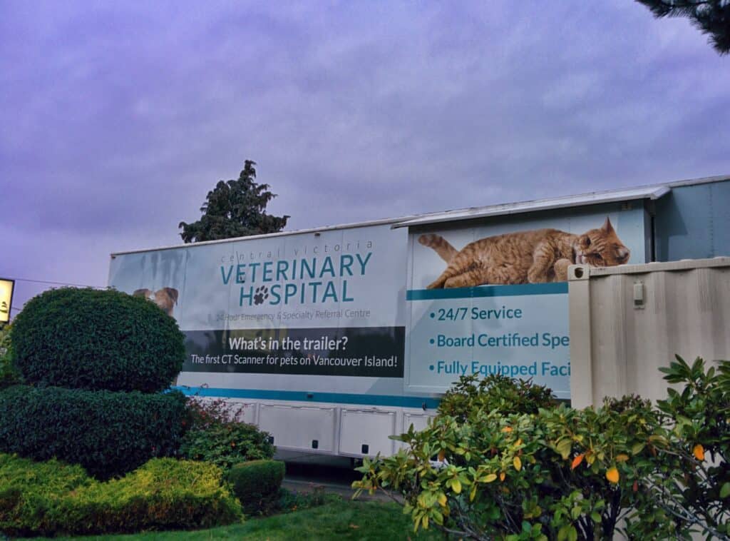 Veterinary hospital sign featuring a large cat graphic and service details in Victoria.