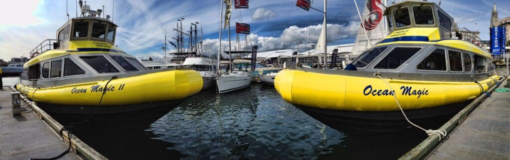 Two yellow boats named Ocean Magic docked at marina with sailboats in background.
