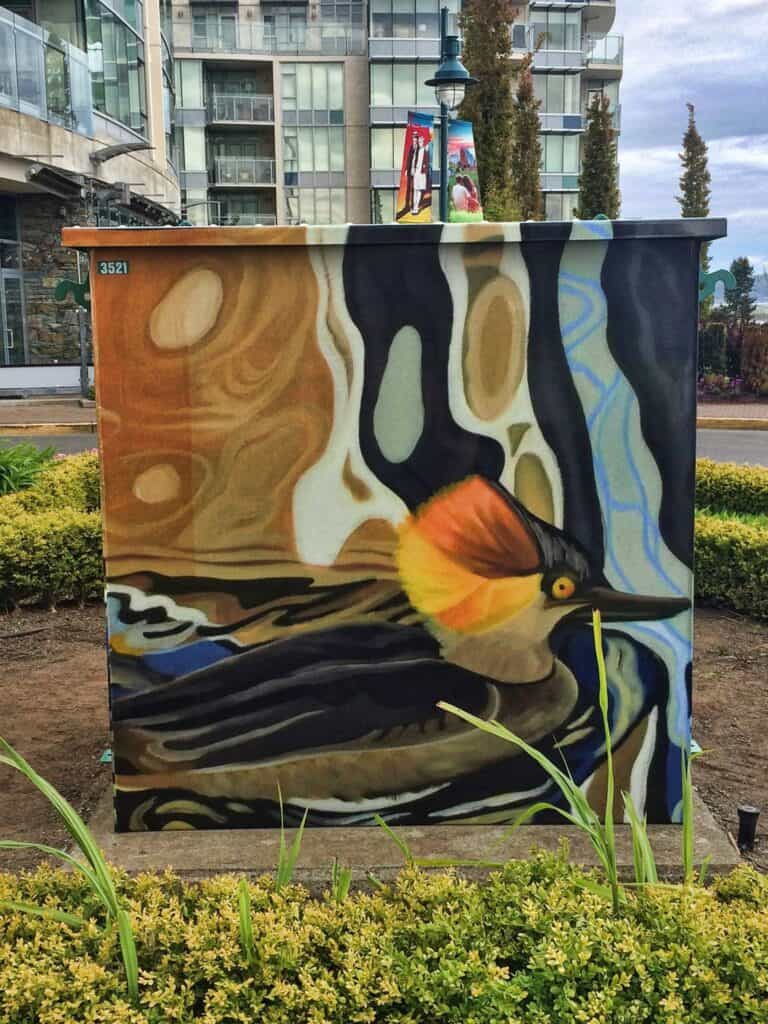 Vibrant bird mural artwork on an outdoor utility box in Victoria.
