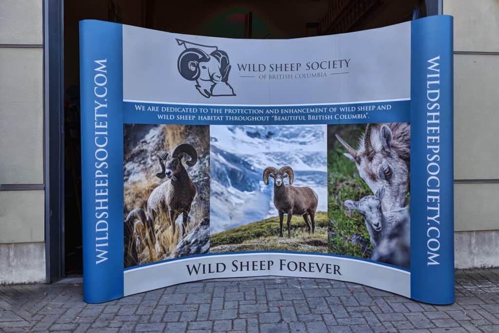 Wild Sheep Society banner promoting conservation of wild sheep in British Columbia.